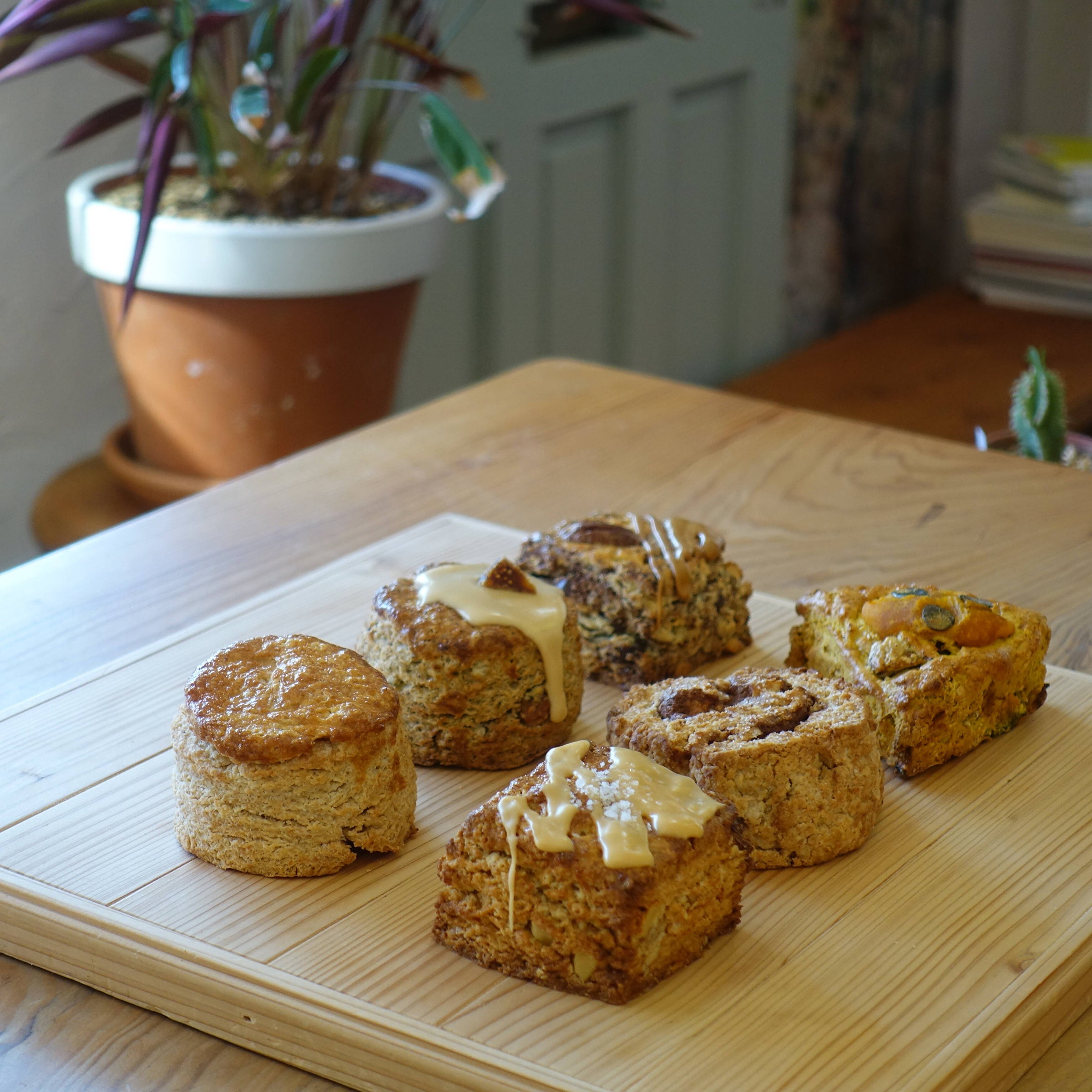 Home | TAKENOSU BAKE